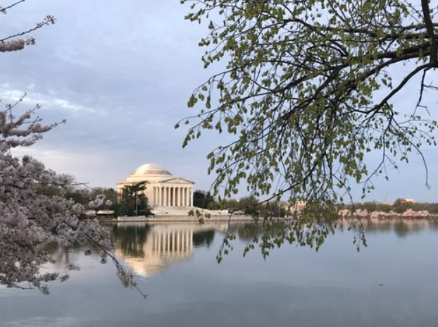 Pond in D.C.